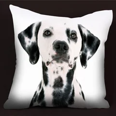 подушка, собака, долматинец